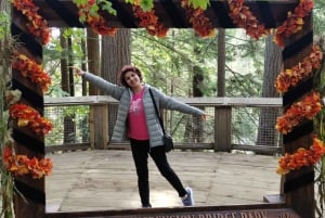 キャピラノ橋＋グラウス山＋スタンレー公園＋ダム＋湖＋孵化場／車／9ヶ所