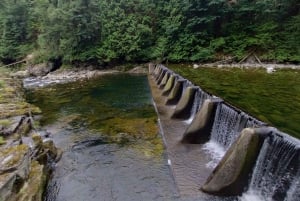 キャピラノ橋＋グラウス山＋スタンレー公園＋ダム＋湖＋孵化場／車／9ヶ所