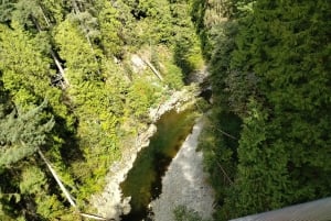 キャピラノ橋＋グラウス山＋スタンレー公園＋ダム＋湖＋孵化場／車／9ヶ所