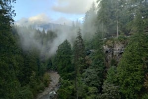 キャピラノ橋＋グラウス山＋スタンレー公園＋ダム＋湖＋孵化場／車／9ヶ所