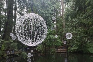 キャピラノ橋＋グラウス山＋スタンレー公園＋ダム＋湖＋孵化場／車／9ヶ所