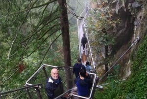 キャピラノ橋＋グラウス山＋スタンレー公園＋ダム＋湖＋孵化場／車／9ヶ所