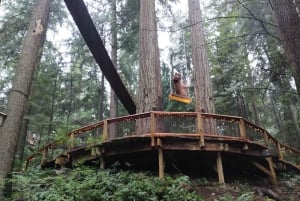 キャピラノ橋＋グラウス山＋スタンレー公園＋ダム＋湖＋孵化場／車／9ヶ所