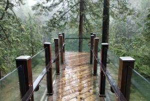 キャピラノ橋＋グラウス山＋スタンレー公園＋ダム＋湖＋孵化場／車／9ヶ所