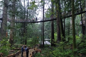 キャピラノ橋＋グラウス山＋スタンレー公園＋ダム＋湖＋孵化場／車／9ヶ所