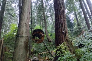 キャピラノ橋＋グラウス山＋スタンレー公園＋ダム＋湖＋孵化場／車／9ヶ所