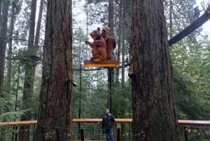 キャピラノ橋＋グラウス山＋スタンレー公園＋ダム＋湖＋孵化場／車／9ヶ所