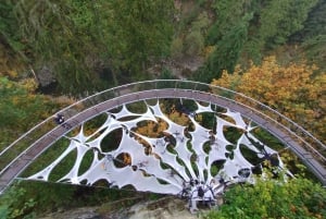 キャピラノ橋＋グラウス山＋スタンレー公園＋ダム＋湖＋孵化場／車／9ヶ所