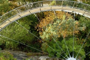 キャピラノ橋＋グラウス山＋スタンレー公園＋ダム＋湖＋孵化場／車／9ヶ所