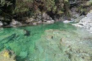 Pont suspendu de Capilano, Canyon Lights et 4 temps forts