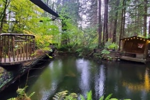 Pont suspendu de Capilano, Canyon Lights et 4 temps forts