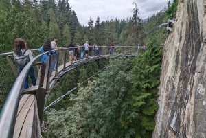 Pont suspendu de Capilano, Canyon Lights et 4 temps forts