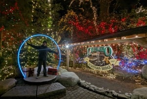 Pont suspendu de Capilano, Canyon Lights et 4 temps forts