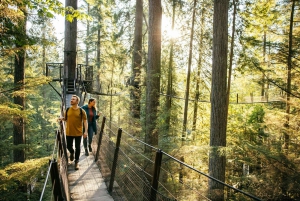 Pont suspendu de Capilano, Canyon Lights et 4 temps forts