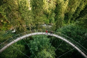 Pont suspendu de Capilano, Canyon Lights et 4 temps forts