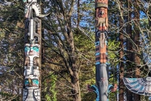 Pont suspendu de Capilano, Canyon Lights et 4 temps forts