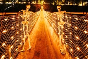 Pont suspendu de Capilano, Canyon Lights et 4 temps forts