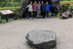 Pont suspendu de Capilano, Canyon Lights et 4 temps forts