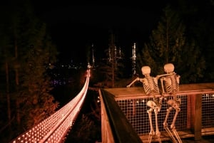 Pont suspendu de Capilano, Canyon Lights et 4 temps forts