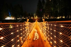 Pont suspendu de Capilano, Canyon Lights et 4 temps forts
