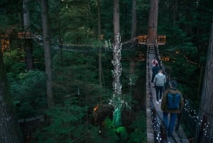 Pont suspendu de Capilano, Canyon Lights et 4 temps forts