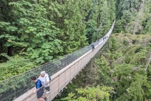 Pont suspendu de Capilano, Canyon Lights et 4 temps forts
