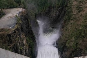 Pont suspendu de Capilano, Canyon Lights et 4 temps forts