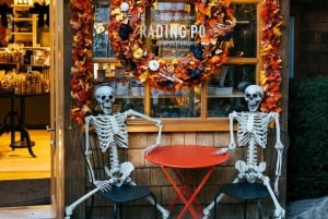 Pont suspendu de Capilano, Canyon Lights et 4 temps forts