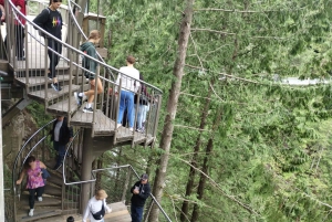 Capilano Suspension Bridge/Charisma's Canyon Light/LUX CAR