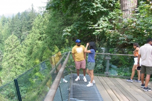 Capilano Suspension Bridge/Charisma's Canyon Light/LUX CAR