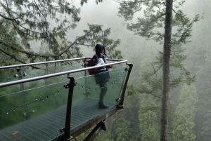 Capilano Suspension Bridge/Charisma's Canyon Light/LUX CAR