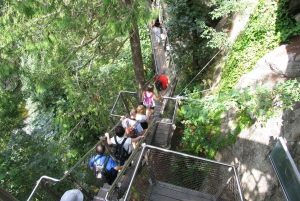 Capilano Suspension Bridge/Charisma's Canyon Light/LUX CAR