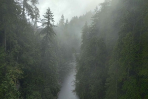 Capilano Suspension Bridge/Charisma's Canyon Light/LUX CAR