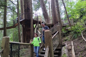 Capilano Suspension Bridge/Charisma's Canyon Light/LUX CAR