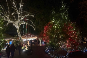 Capilano Suspension Bridge/Charisma's Canyon Light/LUX CAR