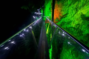 Capilano Suspension Bridge/Charisma's Canyon Light/LUX CAR