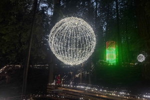 Capilano Suspension Bridge/Charisma's Canyon Light/LUX CAR