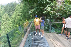 Capilano Suspension Bridge/Charisma's Canyon Light/LUX CAR