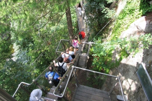 Capilano Suspension Bridge/Charisma's Canyon Light/LUX CAR