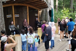 Capilano Suspension Bridge/Charisma's Canyon Light/LUX CAR