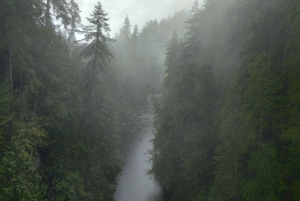 Capilano Suspension Bridge/Charisma's Canyon Light/LUX CAR