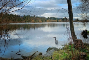 Discover Stanley Park with a Smartphone Audio Walking Tour