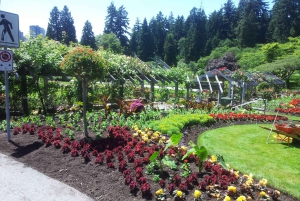 Discover Stanley Park with a Smartphone Audio Walking Tour