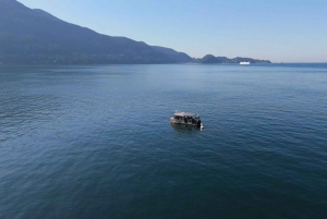 Vancouver: Discovery of the Best Diving Spots