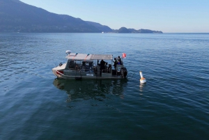 Vancouver: Discovery of the Best Diving Spots