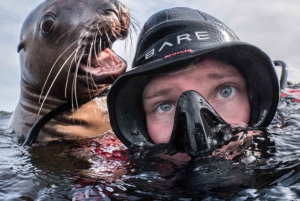 Vancouver: Discovery of the Best Diving Spots