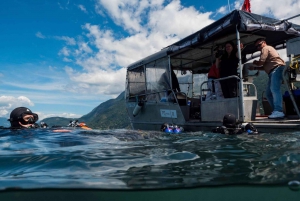 Vancouver: Discovery of the Best Diving Spots