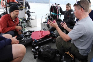 Vancouver: Discovery of the Best Diving Spots