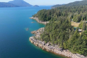 Vancouver: Discovery of the Best Diving Spots