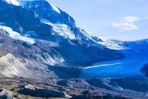 Fra Boston: Halvdagsutflukt til Public Garden, Beacon Hill og mer